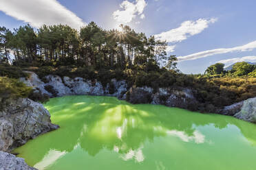 Devil's Cave Pool, Wai-O-Tapu Thermal Wonderland, Taupo Vulkanische Zone, Nordinsel, Neuseeland - FOF11168