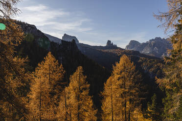 Herbstliche Berglandschaft im Morgenlicht, Dolomiten, Cortina, Italien - MRAF00432