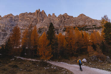 Mann beim Wandern in den Dolomiten am Morgen, Cortina, Italien - MRAF00434