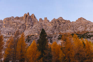 Herbstliche Berglandschaft im Morgenlicht, Dolomiten, Cortina, Italien - MRAF00435