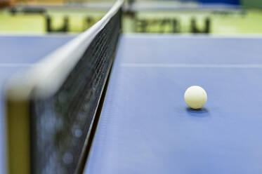 Table tennis table and table tennis ball - FRF00887