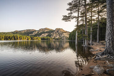 Reservoir de L'Ospedale in the evening light, L'Ospedale, Corsica, France - MSUF00006