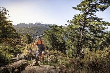 Wanderin, Aiguilles de Bavella, Korsika, Frankreich - MSUF00008