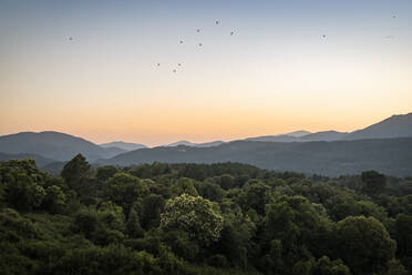 Blick bei Sonnenuntergang, Zonza, Korsika, Frankreich - MSUF00014