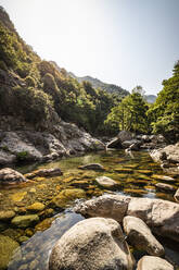 Ruisseau de Aitone, Gorges de Spelunca, Ota, Korsika, Frankreich - MSUF00029