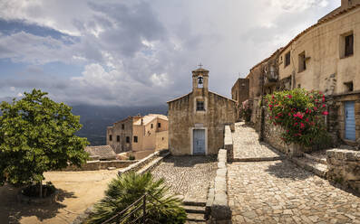 Sant'Antonino, Calvi, Korsika, Frankreich - MSUF00060