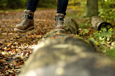 Tiefschnitt einer Frau, die im Wald auf einem Baumstamm balanciert, im Herbst - FLLF00351