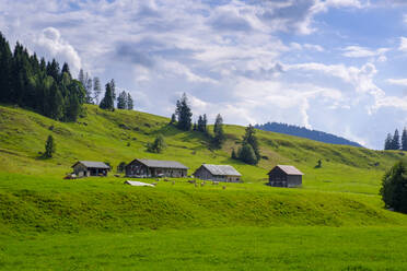 Germany, Swabia, Vorarlberg, Bregenz Forest, Allgau, Oberallgau, Lecknertal, Alpine pastures with huts - LBF02797