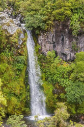 Neuseeland, Dawson Falls plätschern im Egmont National Park - FOF11175