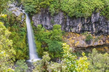 Neuseeland, Dawson Falls plätschern im Egmont National Park - FOF11176