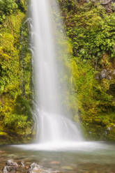 Neuseeland, Langzeitbelichtung des Wasserfalls Dawson Falls im Egmont National Park - FOF11179