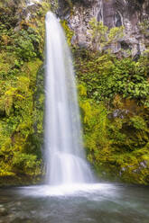 Neuseeland, Langzeitbelichtung des Wasserfalls Dawson Falls im Egmont National Park - FOF11180