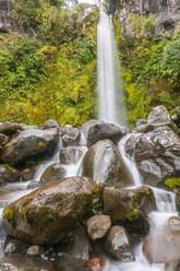 Neuseeland, Dawson Falls Wasserfall plätschert Felsen hinunter - FOF11182