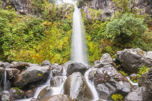 Neuseeland, Dawson Falls Wasserfall plätschert Felsen hinunter - FOF11183