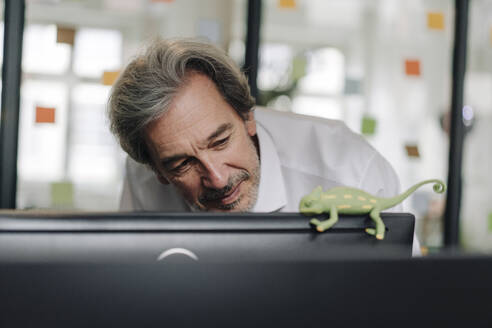 Senior businessman with chameleon figurine in office - GUSF02854