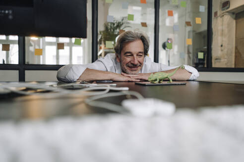 Senior businessman with chameleon figurine in office - GUSF02855