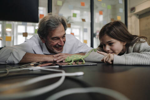 Senior buisinessman and girl playing with chameleon figurine in office stock photo