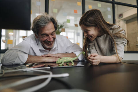 Happy senior buisinessman and girl playing with chameleon figurine in office stock photo