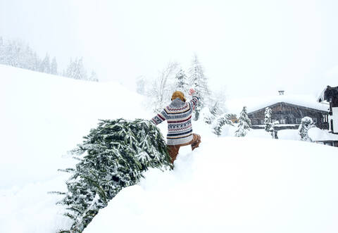Man coming home, waving and pulling Christmas tree in the snow stock photo