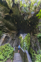 New Zealand, Oceania, North Island, Waitomo, Mangapohue Natural Bridge Walk, Tourist at Mangapohue Natural Bridge - FOF11186