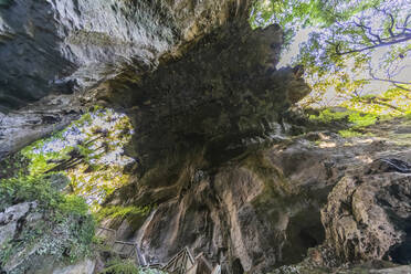 Neuseeland, Ozeanien, Nordinsel, Waitomo, Mangapohue Natural Bridge Walk, Mangapohue Natural Bridge - FOF11188