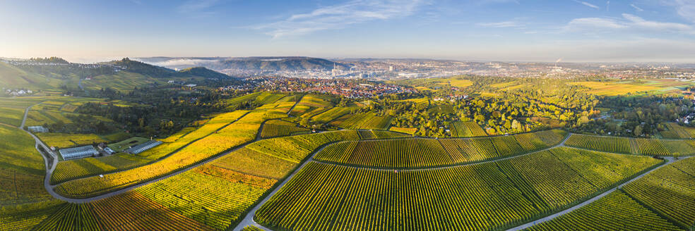 Germany, Baden-Wurttemberg, Stuttgart, Aerial panorama of vast countryside vineyards in autumn - STSF02354