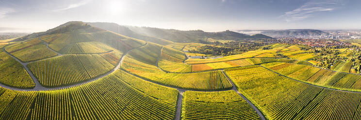 Deutschland, Baden-Württemberg, Stuttgart, Luftbildpanorama von ausgedehnten Weinbergen bei Sonnenuntergang - STSF02359