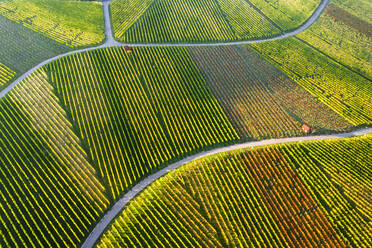 Deutschland, Baden-Württemberg, Stuttgart, Luftaufnahme der Weinberge am Kappelberg im Herbst - STSF02360