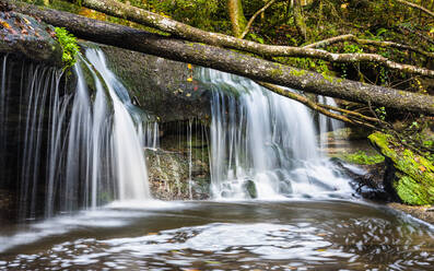 Deutschland, Baden-Württemberg, Kleiner Wasserfall im Schwäbisch-Fränkischen Wald - STSF02361