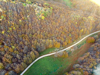 Italien, Luftaufnahme einer Landstraße, die durch den Herbstwald des Monte Cucco führt - LOMF00942