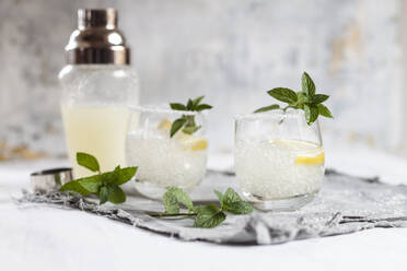 Margarita-Cocktails mit Zitrone und Minzblättern - SBDF04183