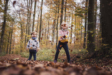 Germany, Baden-Wurttenberg, Lenningen, Two children playing in autumn forest - SEBF00277