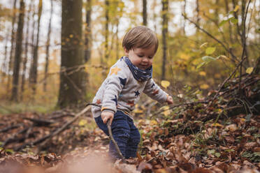 Germany, Baden-Wurttenberg, Lenningen, Little boy playing in autumn forest - SEBF00279