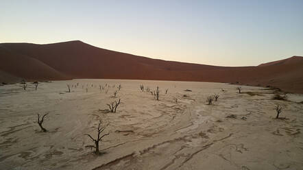 Deadvlei bei Sonnenaufgang, Sossusvlei, Namib-Wüste, Namibia - VEGF00916
