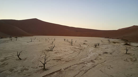 Deadvlei bei Sonnenaufgang, Sossusvlei, Namib-Wüste, Namibia - VEGF00916