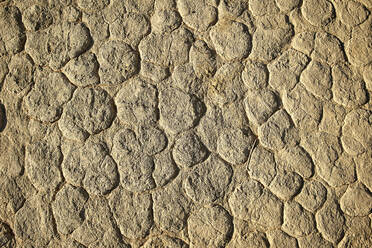 Nahaufnahme der Salzfläche im Deadvlei, Sossusvlei, Namib-Wüste, Namibia - VEGF00925