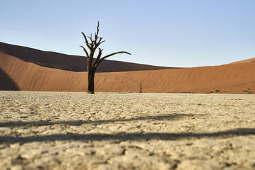 Tote Bäume im Deadvlei, Sossusvlei, Namib-Wüste, Namibia - VEGF00926