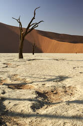 Tote Bäume im Deadvlei, Sossusvlei, Namib-Wüste, Namibia - VEGF00928