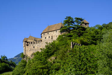 Italien, Südtirol, Sarntal, Grüne Bäume vor Schloss Runkelstein - LBF02806