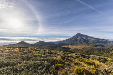 Neuseeland, Grüne Flora vor dem Vulkan Mount Taranaki bei Sonnenaufgang - FOF11230