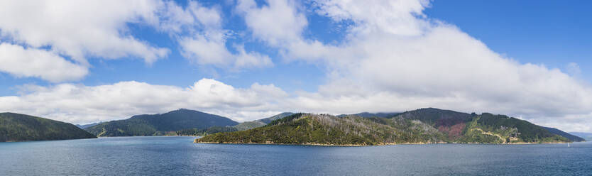 New Zealand, Marlborough Region, Picton, Scenic panorama of white summer clouds over Marlborough Sounds - FOF11233