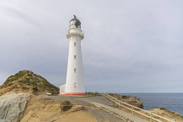 Leuchtturm, Castlepoint, Neuseeland - FOF11248