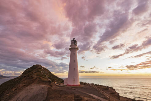 Leuchtturm bei Sonnenuntergang, Castlepoint, Neuseeland - FOF11255