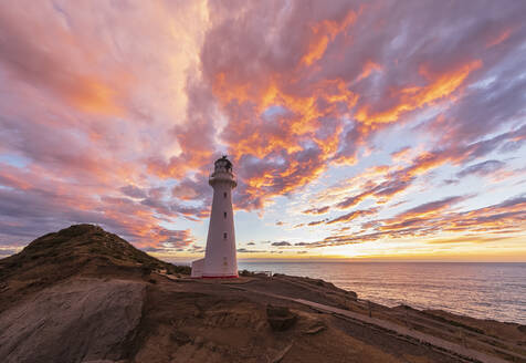 Leuchtturm bei Sonnenuntergang, Castlepoint, Neuseeland - FOF11256