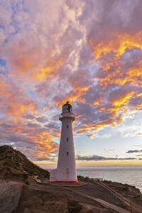 Leuchtturm bei Sonnenuntergang, Castlepoint, Neuseeland - FOF11260