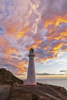 Leuchtturm bei Sonnenuntergang, Castlepoint, Neuseeland - FOF11260