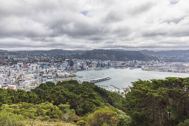 Neuseeland, Wellington, Wolken über der Küstenstadt vom Gipfel des Mount Victoria aus gesehen - FOF11266