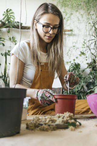 Young woman working at table in a small gardening shop stock photo