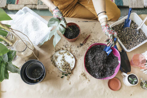 Top view of woman working with soil on table - VPIF01828