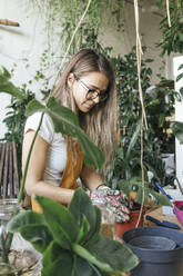 Young woman working with soil in a small gardening shop - VPIF01829